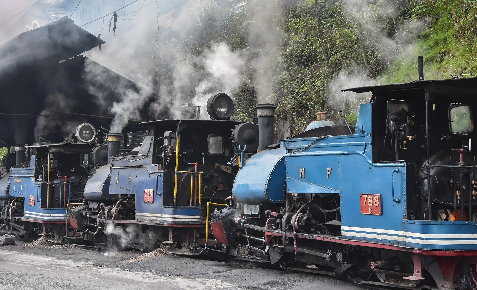 The DHR Toy Train on its climb to Darjeeling